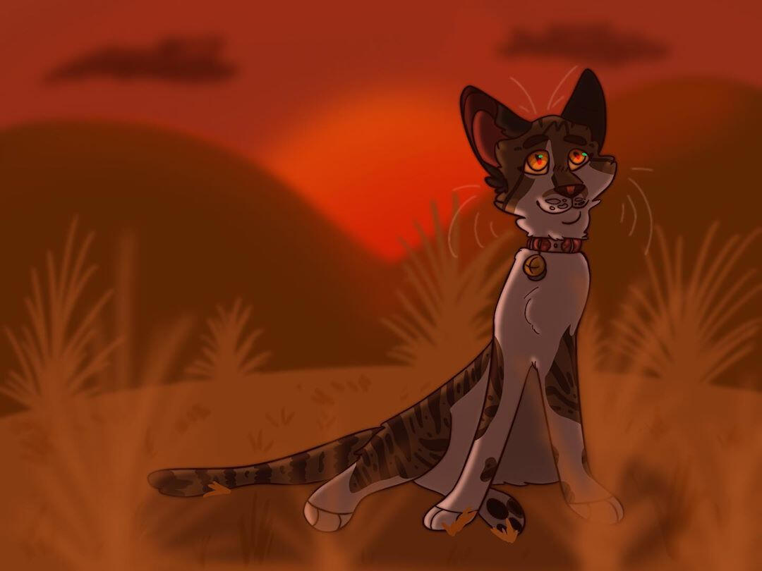 SEGAmastergirl on X: My not so warrior cats, warrior cats. My